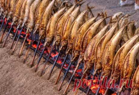 ТОП 5 самых опасных блюд из рыбы и морепродуктов: о том, что лучше не есть