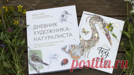 Ёлки, книги с ароматом земляники и карандаши: как отдохнуть летом в лесу Вылазки на природу успокаивают нервы, повышают настроение и пробуждают творческое мышление. А еще можно вдоволь надышаться чистым воздухом и поесть земляники. Лето же! Берите рюкзак и отправляйтесь на природу — всей семьей. А не заскучать (с непривычки) в лесу помогут две наши «зелёные» новинки: для взрослых и детей. Первая — «Дневник художника-натуралиста» ( — научит рисовать и запечатлевать все красоты загородной жизни.…