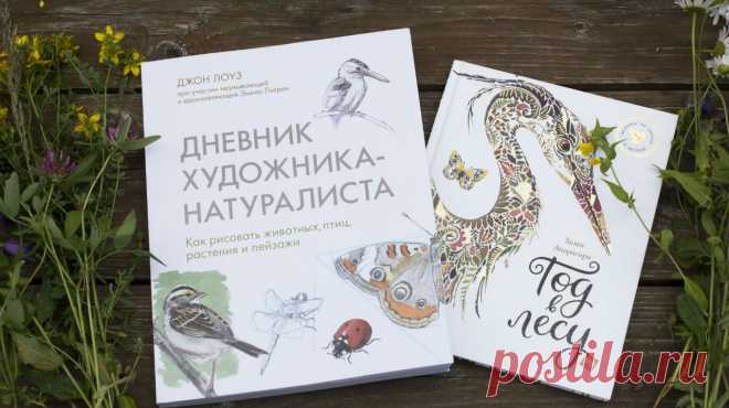 Ёлки, книги с ароматом земляники и карандаши: как отдохнуть летом в лесу Вылазки на природу успокаивают нервы, повышают настроение и пробуждают творческое мышление. А еще можно вдоволь надышаться чистым воздухом и поесть земляники. Лето же! Берите рюкзак и отправляйтесь на природу — всей семьей. А не заскучать (с непривычки) в лесу помогут две наши «зелёные» новинки: для взрослых и детей. Первая — «Дневник художника-натуралиста» ( — научит рисовать и запечатлевать все красоты загородной жизни.…