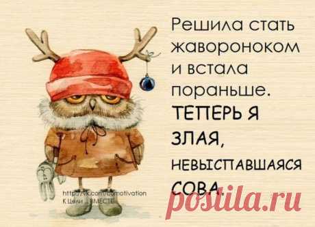 сова