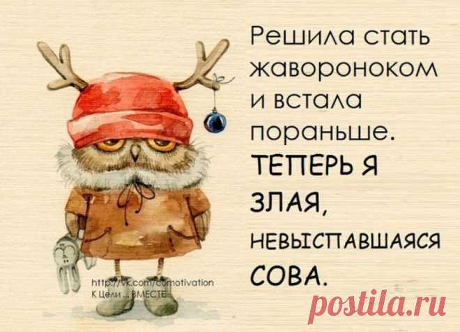 сова