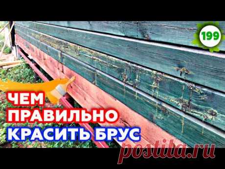 Как правильно покрасить деревянный дом? | Обзор на дом из профилированного бруса