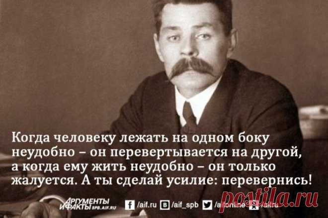 «Люди гораздо более глупы, чем злы». 12 ярких цитат Максима Горького | Персона | КУЛЬТУРА | АиФ Санкт-Петербург