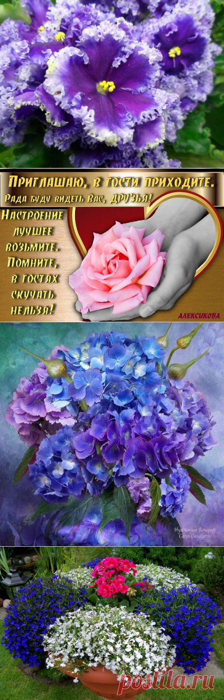 Интересные новости
