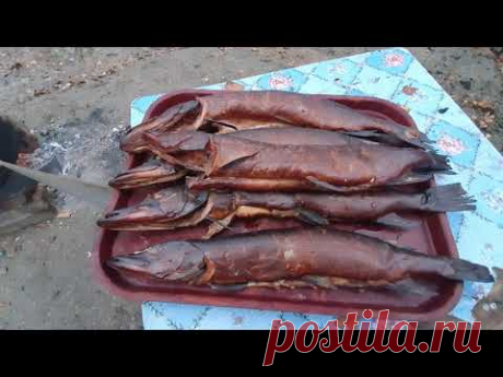 КАК КАРЕЛЫ НА САМОМ ДЕЛЕ КОПТЯТ РЫБУ И ПОЧЕМУ ТОЛЬКО ПОСЛЕ ЗАМОРОЗКИ