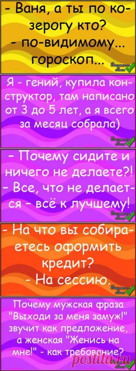 Анекдотики - 75 | Prikolisti.com