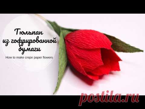 Мастер-класс Тюльпан из гофрированной бумаги с конфетой внутри / How to make crepe paper flowers - YouTube

В сегодняшнем мастер-классе я покажу как можно сделать самый простой тюльпан из гофрированной бумаги с конфетой внутри. 

#тюльпанизгофрированнойбумаги #тюльпансконфетойвнутри #букетсвоимируками