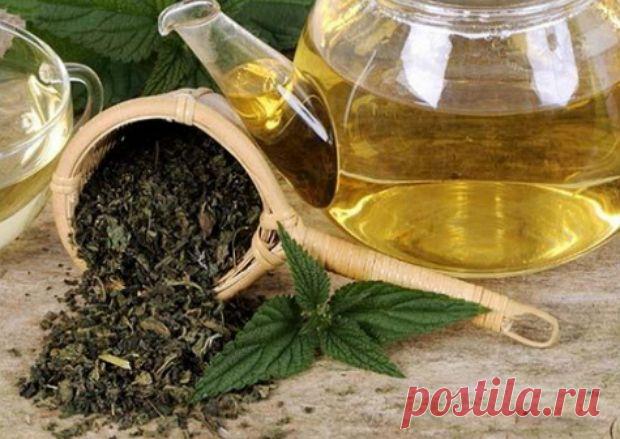 Крапива - рецепты, лечение:Herb-Еco
 Листья крапивы (1 часть), семена укропа (1 часть), трава донника (1 часть), плоды аниса (1 часть). Две столовые ложки смеси залить 2 стаканами воды, довести до кипения, дать настояться в термосе полчаса, остудить, процедить и принимать по 1/2 стакана 2 раза в день через 1 час после еды