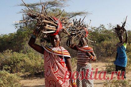 Социолог заявил о планах заселить Украину африканцами