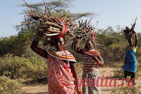 Социолог заявил о планах заселить Украину африканцами
