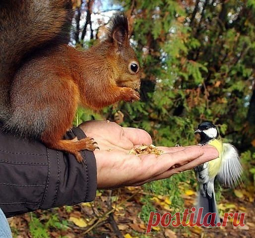Мой Мир@Mail.Ru