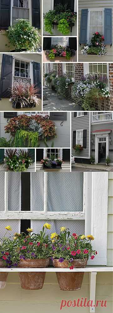 (+1) тема - А если нет сада? Есть балкон или окно! | СДЕЛАЙ САМ!