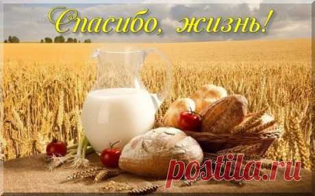 Спасибо, жизнь...

Спасибо, жизнь, что я себя нашла,
Когда моей души запели струны.
И что во мне любовь всегда жива!
И с нею в сердце я останусь юной...

Спасибо, жизнь, за дружбу и врагов.
Я на ошибках многому училась.
Кто рядом был, и тех, кто не со мной,
Но за которых я всегда молилась!