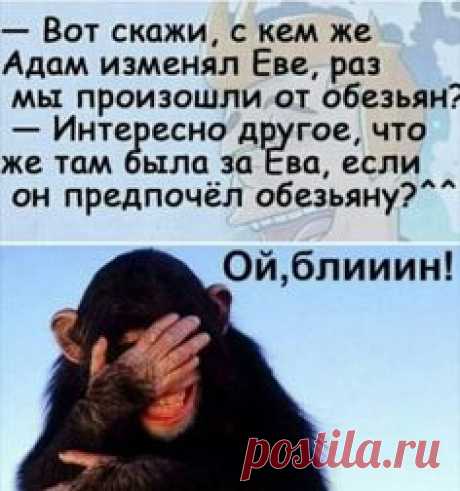 юмор