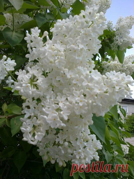 весеннее настроение