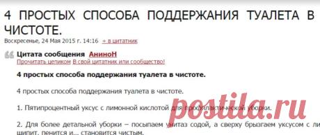 4 ПРОСТЫХ СПОСОБА ПОДДЕРЖАНИЯ ТУАЛЕТА В ЧИСТОТЕ.