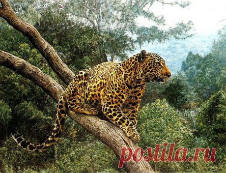 ЯРКИЙ МИР ТВОРЧЕСТВА!
Анна Альникова