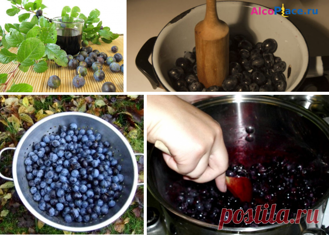 Рецепт приготовления вкусного вина из терновника в домашних условиях