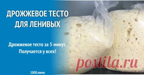 Быстрое дрожжевое тесто в холодильнике в пакете рецепт фото пошагово и видео Дрожжевое тесто за 5 минут. Получается у всех!