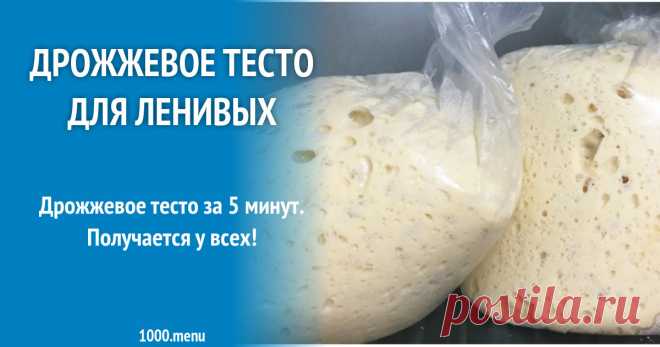 Быстрое дрожжевое тесто в холодильнике в пакете рецепт фото пошагово и видео Дрожжевое тесто за 5 минут. Получается у всех!