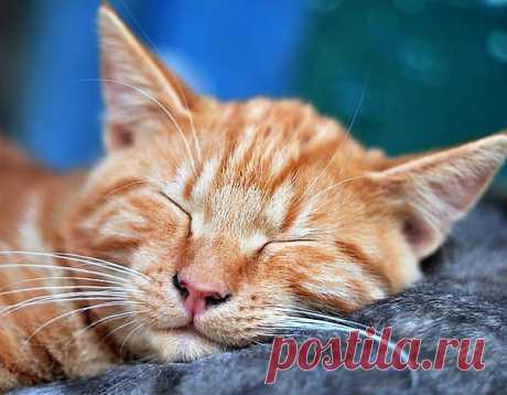 Прошлое, к которому нет возврата Хочу рассказать еще один сон и что за ним последовало.