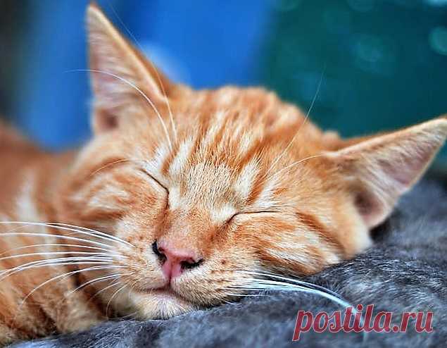 Прошлое, к которому нет возврата Хочу рассказать еще один сон и что за ним последовало.