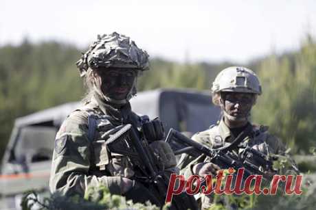 В Норвегии 30 военных отстранили от службы из-за употребления наркотиков. Королевская гвардия Норвегии отстранила от службы 30 человек из-за употребления наркотиков. Анонимный источник проинформировал вооруженные силы Норвегии о том, что военные употребляли наркотические вещества на вечеринке, находясь в отгуле. Гвардейцы признали свою вину.