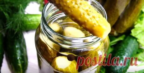 Как болгарские огурчики. Хрустящие и времени не отнимают: маринованные огурцы на зиму Такие огурчики очень сильно напоминают любимые многими болгарские заготовки: пикантный и сладкий вкус, не забывается никогда и многие хозяйки давно ищут именно этот классический рецепт. Для приготовления вам потребуются такие ингредиенты: огурцы, 3.5 кг; вода, 1.5 л; сахар, 100 г; соль, 1 ст.л; уксус 9 %, 150 мл; классический набор зелени доля консервации (укроп, листья); […]