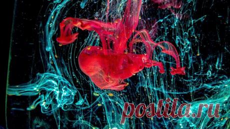 Тест. Первое, что вы увидите в этих оптических иллюзиях, может многое рассказать о вашем личности
Рассматривая одинаковые изображения, каждый человек всегда видит что-то своё, свойственное только его воображению. По мнению ученых, мы постоянно находимся под натиском бесчисленной визуальной информации. Наш мозг не воспринимает информацию из вне в виде стандартизированных образов. Это не значит,...
Читай пост далее на сайте. Жми ⏫ссылку выше