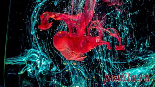 Тест. Первое, что вы увидите в этих оптических иллюзиях, может многое рассказать о вашем личности
Рассматривая одинаковые изображения, каждый человек всегда видит что-то своё, свойственное только его воображению. По мнению ученых, мы постоянно находимся под натиском бесчисленной визуальной информации. Наш мозг не воспринимает информацию из вне в виде стандартизированных образов. Это не значит,...
Читай пост далее на сайте. Жми ⏫ссылку выше