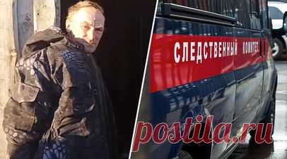 «Пошёл воровать поросёнка»: по делу о гибели школьницы задержан подозреваемый сосед. Житель Красноярского края, задержанный по подозрению в причастности к гибели 17-летней девушки в загоне со свиньями, хотел украсть поросёнка, рассказал источник RT. На допросах 41-летний мужчина рассказал, что ударил девушку по голове: она пришла в хлев кормить животных и ему помешала. Школьница потеряла сознание и упала в загон. Подозреваемый был подчинённым отца погибшей, работал скотником и получал около 50…