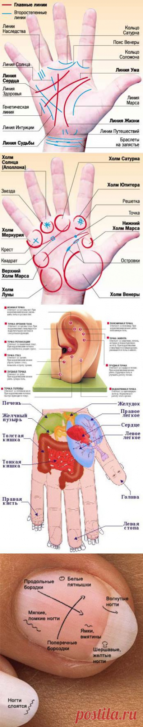 сообщение Трииночка : Здоровье, диагностика, профилактика (14:05 30-10-2014) [4059776/341741925] - remsuslub@mail.ru - Почта Mail.Ru