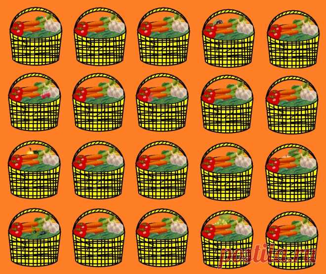 В каких корзинках на картинке есть фрукты среди овощей? Картинка на проверку зрения и внимательности
Корзинки с овощами и фруктами Добро пожаловать на интересную статью на проверку зрения и внимательности, с вами Логические головоломки! Именно для разнообразия головоломок и тестов давайте в этой проверим зрение и внимательность. Результаты и ответ будет в конце статьи. Ну а сейчас давайте начнём....
Читай дальше на сайте. Жми подробнее ➡