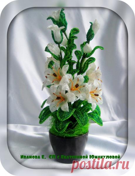 Лилии | biser.info - всё о бисере и бисерном творчестве