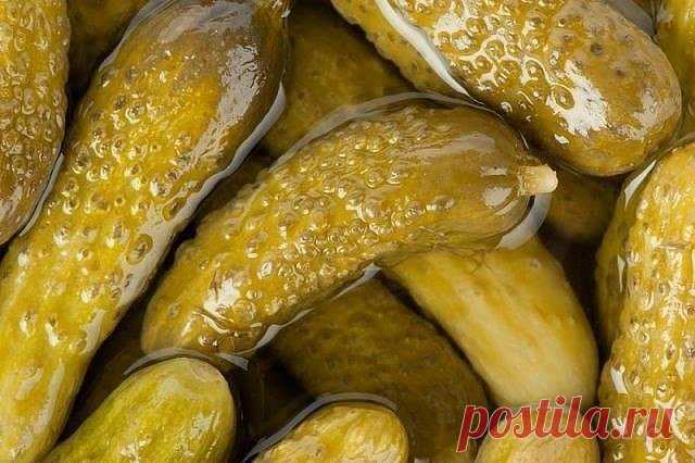 Готовим Бочковые огурцы в банке на зиму