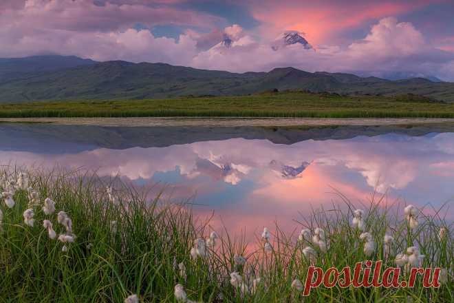 Удивительный мир