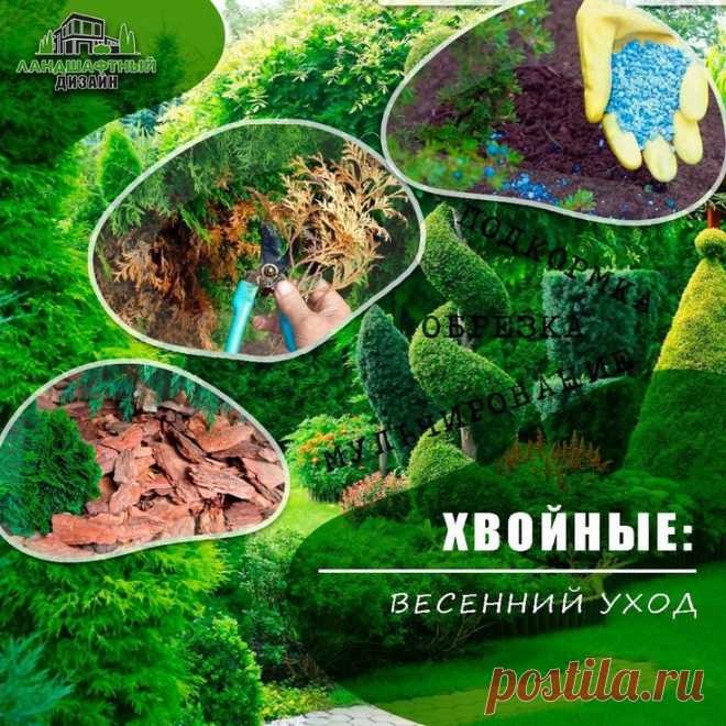 Приглашаем вас в мир ландшафтного дизайна!
Откройте для себя удивительные идеи по обустройству сада, двора, парка или дачного участка, которые преобразят любое пространство в уютное и гармоничное место для отдыха и вдохновения.