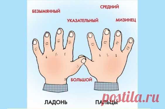 КАК ЗОВУТ ВАС, ПАЛЬЧИКИ?) КАК ЗОВУТ ВАС, ПАЛЬЧИКИ?)Я на пальчиках считалаИ ужасно хoxoтала:Разве это пальчики?Это ж просто мальчики!Вот БОЛЬШОЙ – большой чудак!Любит хвастать просто так.Как дела? – спроси его.Он подпрыгнет, кр…