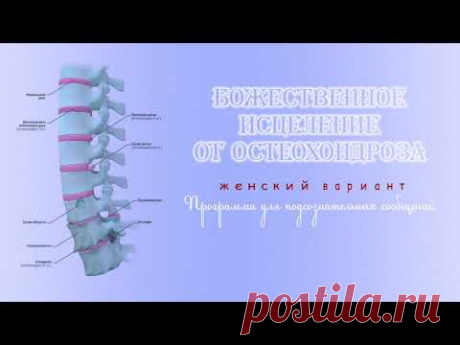 ОТ ОСТЕОХОНДРОЗА (ЖЕНЩ). Программа для подсознательных сообщений.
