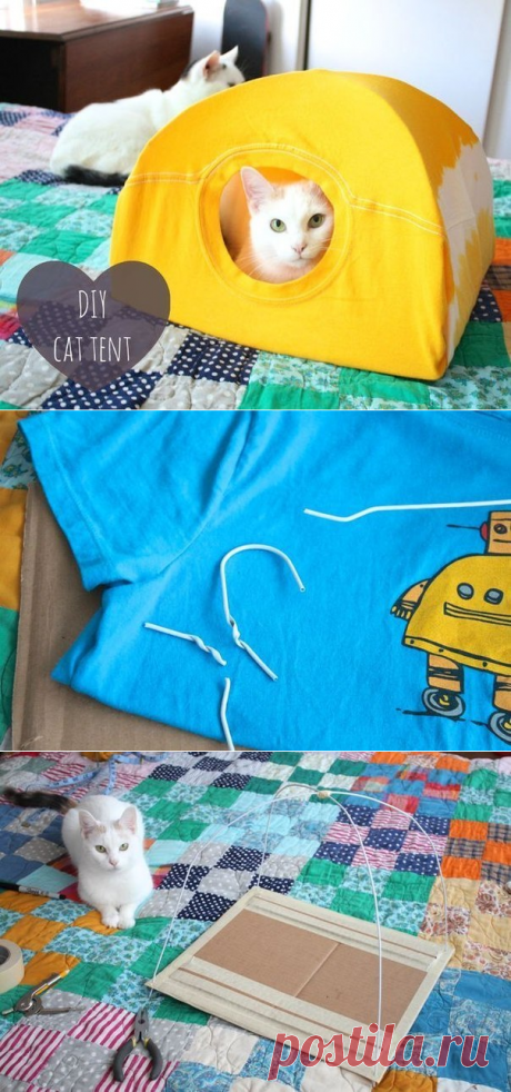 Котодомик из старой футболки — Сделай сам, идеи для творчества - DIY Ideas