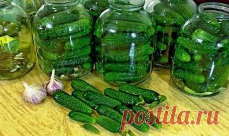 ОГУРЦЫ «ЗЛОДЕЙСКИЕ» — И ХРУСТЯЩИЕ, И АРОМАТНЫЕ И ОЧЕНЬ ВКУСНЫЕ! — Копилочка полезных советов