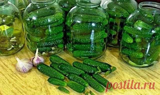 ОГУРЦЫ «ЗЛОДЕЙСКИЕ» — И ХРУСТЯЩИЕ, И АРОМАТНЫЕ И ОЧЕНЬ ВКУСНЫЕ! — Копилочка полезных советов