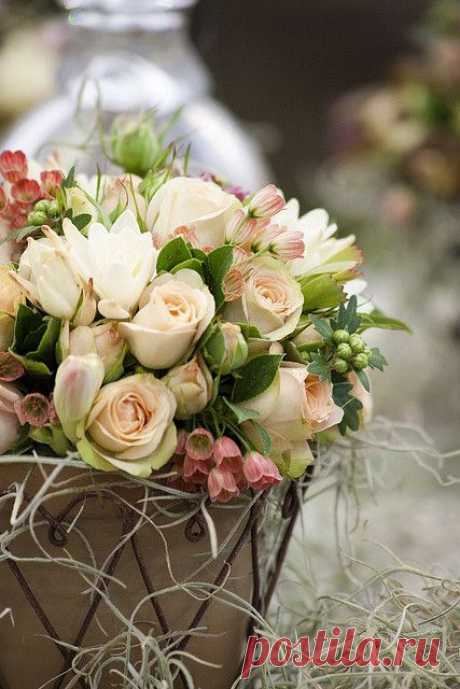 Найдено на сайте kendrasmiles4u.tumblr.com.