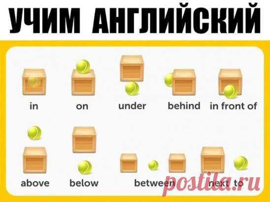 УЧИМ  АНГЛИЙСКИЙ
300 первых слов. 24 смысловые группы.
please (плиз) - пожалуйста, прошу. sorry (сори) - извините
you are welcome (ю а вэлкам) - пожалуйста, не за что
hello (хэллоу) - здравствуйте. hi (хай) - привет
goodbye (гудбай) - до свидания, пока. see you (cи ю) - увидимся
yes (да) - да. no (ноу) - нет. not (нот) - не
this (зис) - этот. that (зэт) – тот
name (нэйм) - имя. address (эдрэс) - адрес
phone number (фоун намбэр) - номер. age (эйдж) - возраст
married (мэррид) - женатый, замужня