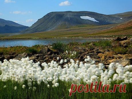 Мои Яндекс.Фотки