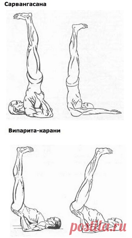О практике йогов, которые используют гимнастику для омоложения.