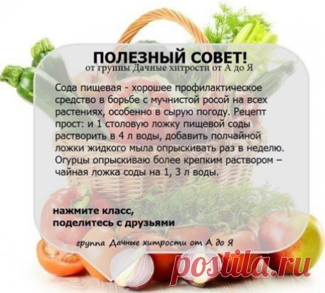 ● Чтобы не потерять эту информацию, жмите &quot;Класс!&quot; и &quot;Поделиться&quot;
● Присоединяйся прямо сейчас ➨➨➨ https://ok.ru/ideika