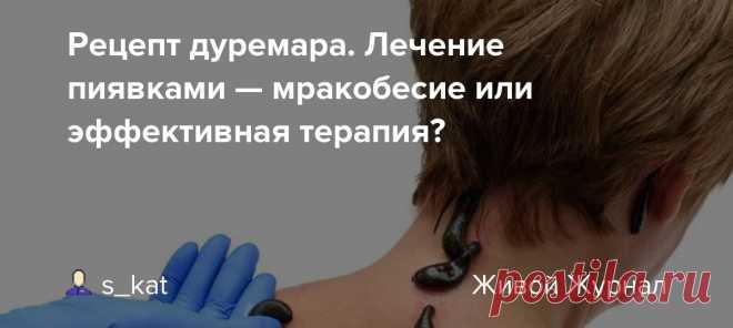 Лечение_пиявками_мракобесие_или_эффективная_терапия Народная медицина — рецепты, советы, способы, cекреты и народные средства.