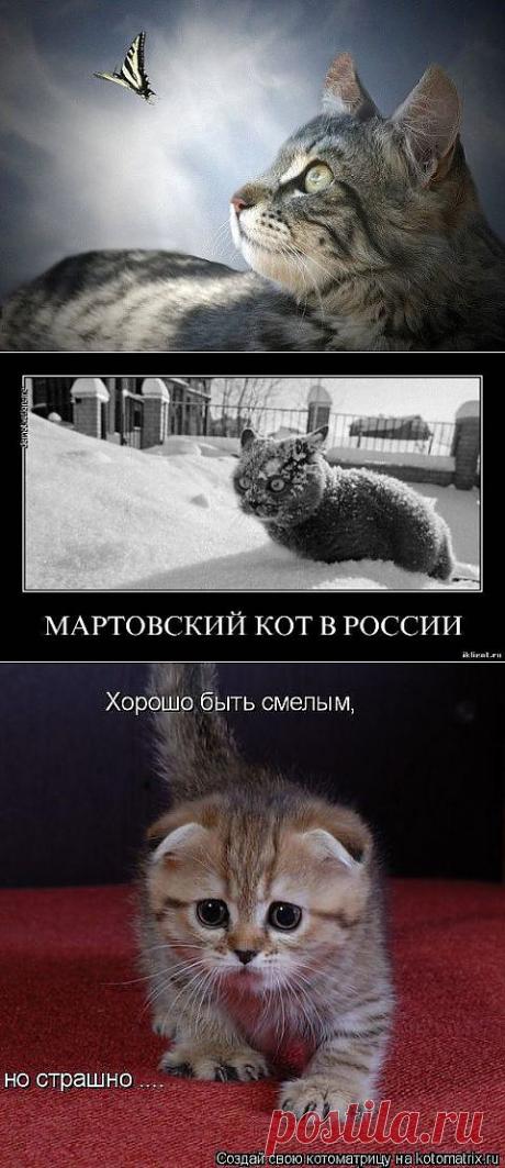 Одноклассники