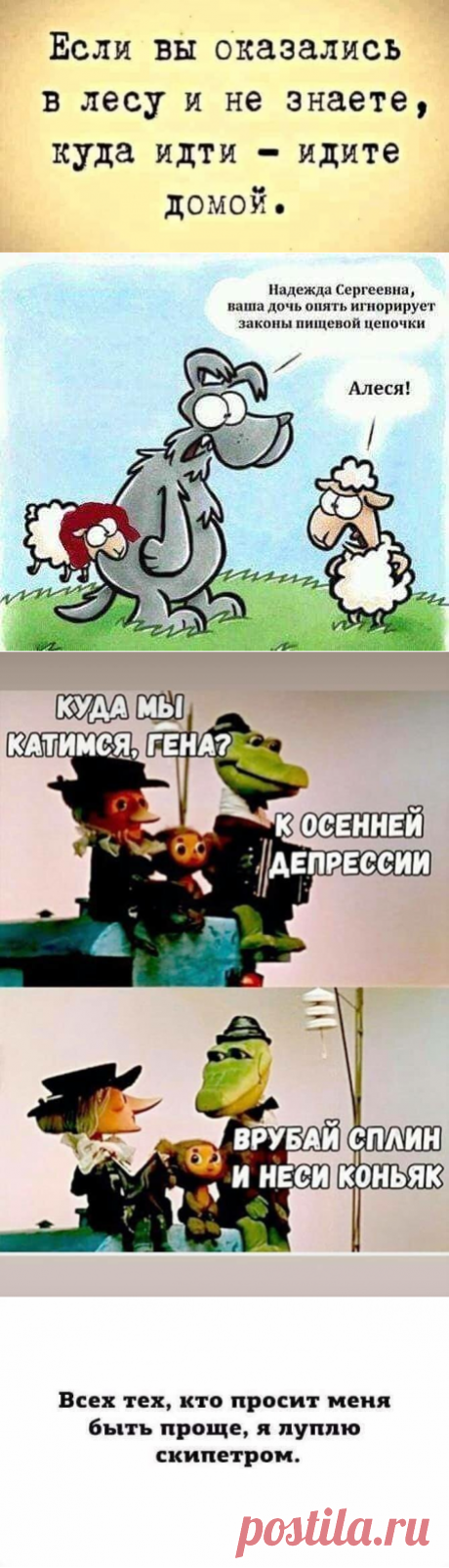 10 классных мемов в пятницу | Familypass | Яндекс Дзен